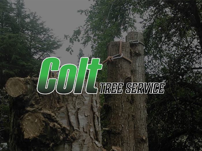 Colt Tree Services