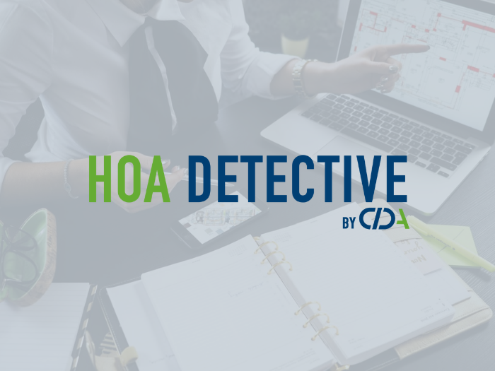 HOA Detective Blog